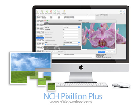 دانلود NCH Pixillion Image Converter Plus v8.59 MacOS - نرم افزار تبدیل فرمت دسته ای تصاویر برای مک