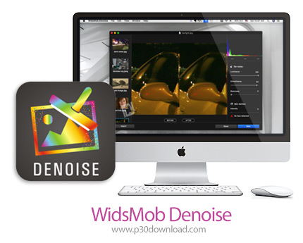 دانلود WidsMob Denoise v2.17.1164 MacOS - نرم افزار حذف نویز برای مک