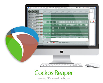 دانلود Cockos Reaper v6.57 MacOS - نرم افزار ضبط، میکس و ویرایش فایل های صوتی برای مک
