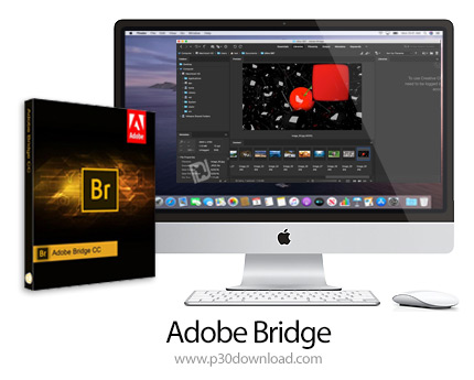 دانلود Adobe Bridge 2021 v11.1.1 MacOS - نرم افزار ادوبی بریج 2021 برای مک