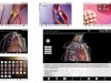 3D Heart & Circulatory Premium Screenshot 1