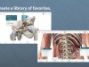 Anatomy 3D4Medical and Human Anatomy Atlas Screenshot 4