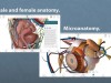 Anatomy 3D4Medical and Human Anatomy Atlas Screenshot 3