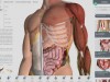 Complete Anatomy Screenshot 1