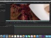 Adobe Media Encoder Screenshot 2