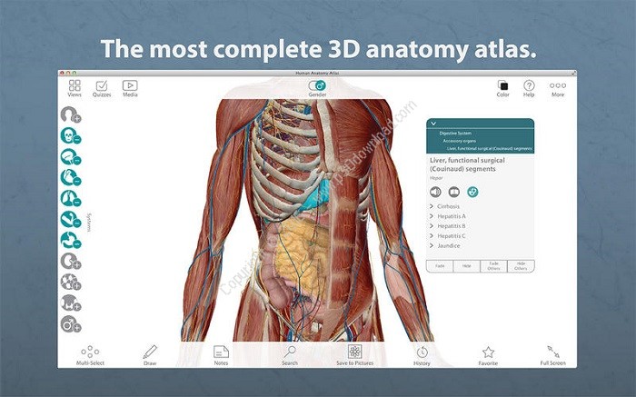 complete anatomy 3d4medical mac torrent