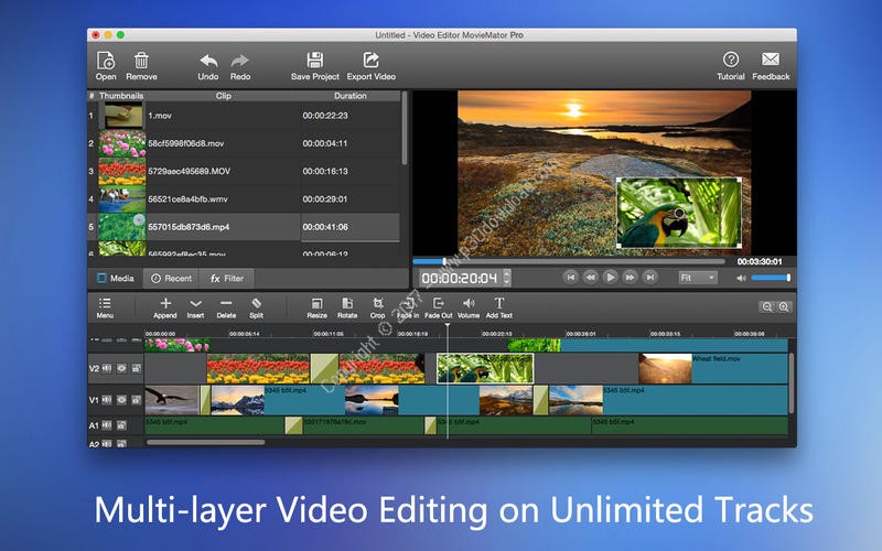 video editor moviemator pro for windows