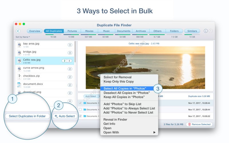 Duplicate File Finder Professional 2023.15 download the new version for iphone