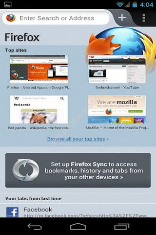 FireFox Screenshot 5