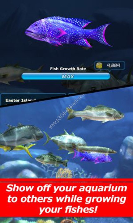 Ace Fishing Wild Catch Screenshot 2