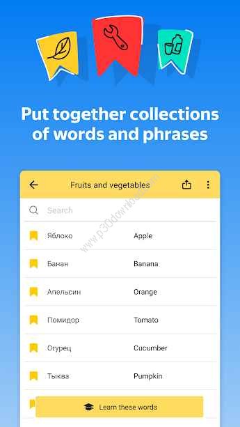 Yandex.Translate offline translator & dictionary Screenshot 3