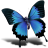 Butterfly Paradise Screensaver icon