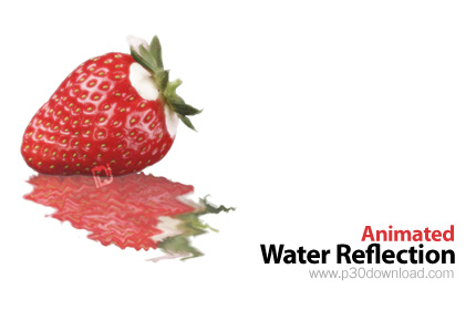 دانلود Animated Water Reflection v2.6 - نرم افزار انعکاس عکس در امواج