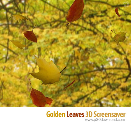 دانلود Golden Leaves 3D Screensaver v1.2.0 - اسکرین سیور مناظر طبیعت در پاییز