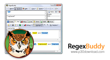 دانلود RegexBuddy v4.12.0 x64 + v4.5.0 - نرم افزار ساخت و تست عبارات منطقی
