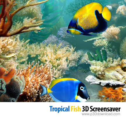 دانلود Tropical Fish 3D Screensaver v1.1 Build 6.9 - اسکرین سیور دنیای مجازی زیر آب
