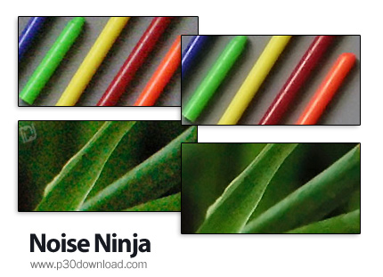 دانلود Noise Ninja v2.3.7 - پلاگین برطرف کردن نویز تصاویر