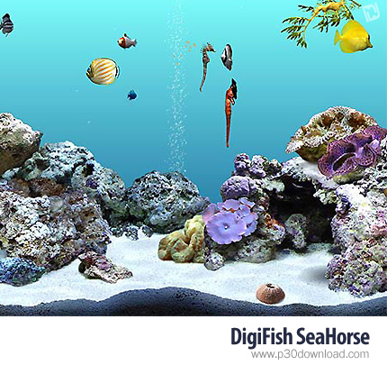 دانلود DigiFish SeaHorse v1.0 - اسکرین سیور اسب ماهی ها