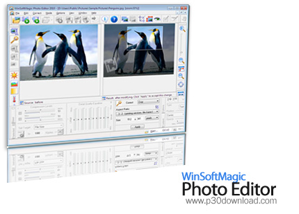 دانلود WinSoftMagic Photo Editor 2010 v8.1.94 - نرم افزار ویرایش تصاویر