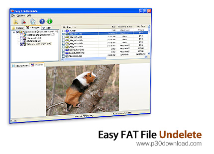دانلود Easy FAT File Undelete v2.5 - نرم افزار بازیابی فایل های پاک شده