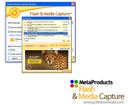 دانلود Flash and Media Capture Player v2.0.210 - نرم افزار دریافت و ذخیره تصاویر و ویدئوها