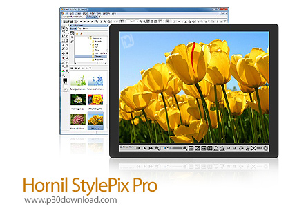 دانلود Hornil StylePix Pro v2.0.3.0 - نرم افزار ویرایش تصویر