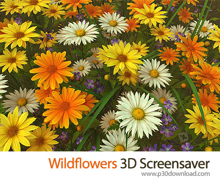 دانلود Wildflowers 3D Screensaver v1.0 Build 1 - اسکرین سیور گل های وحشی