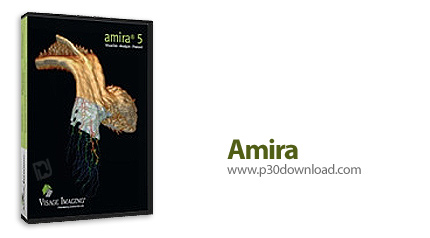 دانلود Amira v5.4 - نرم افزار مصورسازی و مدلسازی داده های علمی