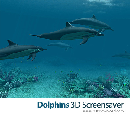 دانلود Dolphins 3D Screensaver v1.0 Build 3 - اسکرین سیور دلفین