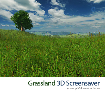 دانلود Grassland 3D Screensaver v1.0 Build 1 - اسکرین سیور چمن زار