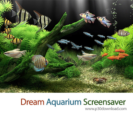 دانلود Dream Aquarium Screensaver v1.234 - اسکرین سیور آکواریوم رویایی
