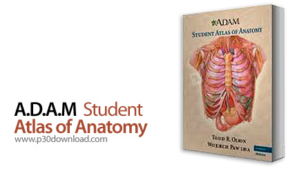 دانلود A.D.A.M Student Atlas of Anatomy v01.00.05.11 - نرم افزار اطلس آناتومی