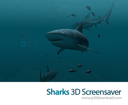دانلود Sharks 3D Screensaver and Animated Wallpaper v1.0 Build 1 - اسکرین سیور کوسه ها