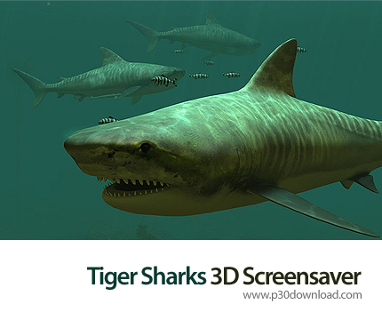 دانلود Tiger Sharks 3D Screensaver and Wallpaper v1.0 - اسکرین سیور کوسه ببری
