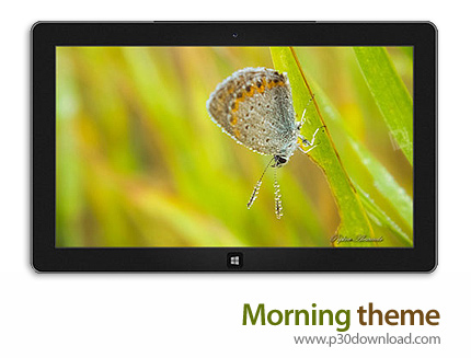 دانلود Morning theme - پوسته مناظر ناب صبحگاهی برای ویندوز 8 و ویندوز 7