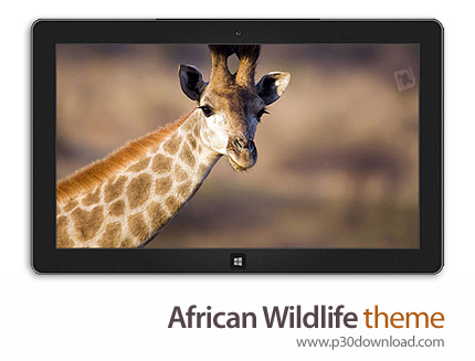 دانلود African Wildlife theme - پوسته حیات وحش آفریقا برای ویندوز 8 و ویندوز 7