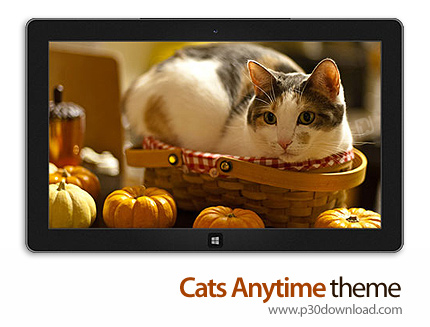 دانلود Cats Anytime theme - پوسته گربه های خانگی برای ویندوز 8 و ویندوز 7