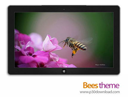 دانلود Bees theme - پوسته زندگی گل و زنبور برای ویندوز 8 و ویندوز 7
