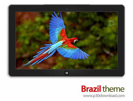 دانلود Brazil theme - پوسته چشم اندازهای برزیل برای ویندوز 8 و ویندوز 7