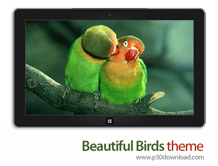 دانلود Beautiful Birds theme - پوسته پرندگان زیبا برای ویندوز 8 و ویندوز 7