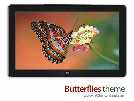 دانلود Butterflies theme - پوسته پروانه ها برای ویندوز 8 و ویندوز 7