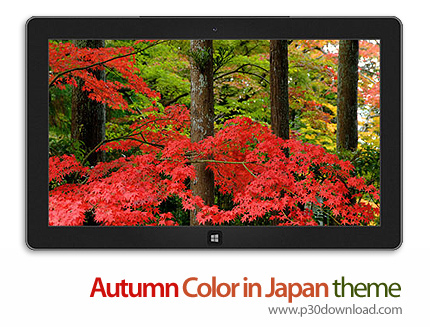 دانلود Autumn Color in Japan theme - پوسته پاییز رنگارنگ در ژاپن برای ویندوز 8 و ویندوز 7