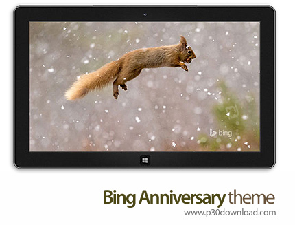 دانلود Bing Anniversary theme - پوسته زیباترین عکس های موتور جستجو بینگ در جشن سالگرد آن، برای ویندو