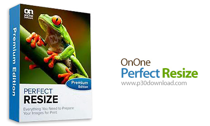 دانلود OnOne Perfect Resize Premium Edition v9.5.0.1640 x64 - پلاگین بزرگ کردن عکس بدون افت کیفیت