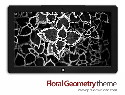 دانلود Floral Geometry theme - پوسته گل برای ویندوز 8 و ویندوز 7