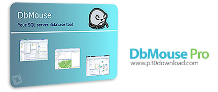 دانلود DbMouse Pro v6.4 - نرم افزار مدیریت پایگاه داده برای Microsoft SQL Server