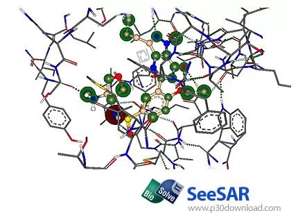 دانلود SeeSAR v6.1 - شبیه سازی ترکیبات مولکولی و اتمی
