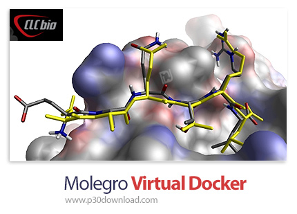 دانلود Molegro Virtual Docker v6.0 - نرم افزار پیش بینی و مدلسازی داکینگ موکولی