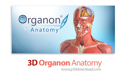 دانلود 3D Organon Anatomy - نرم افزار نمایش سه بعدی آناتومی بدن