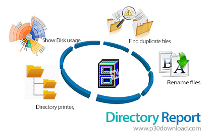 دانلود Directory Report v48 x86/x64 - نرم افزار نمایش و بررسی دایرکتوری ها و یافتن فایل های تکراری د